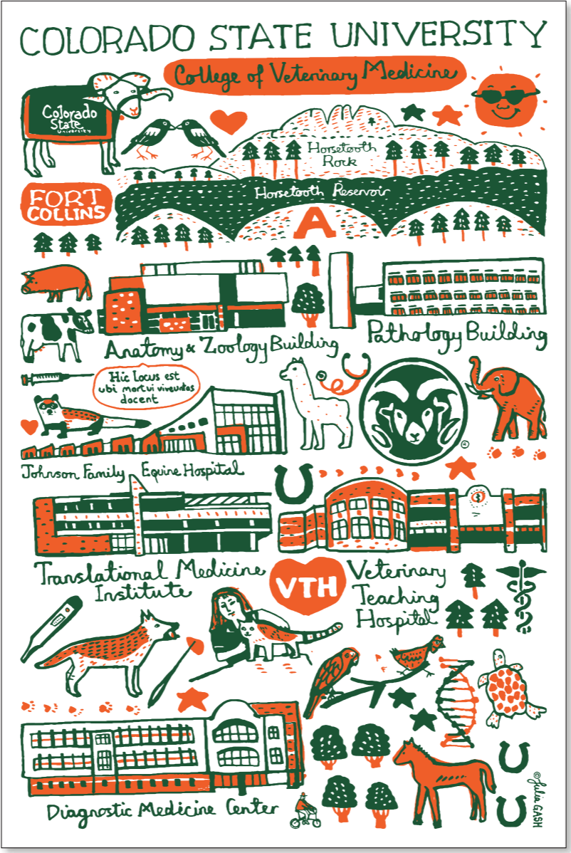 CSU DVM Julia Gash Poster (12" x 18")