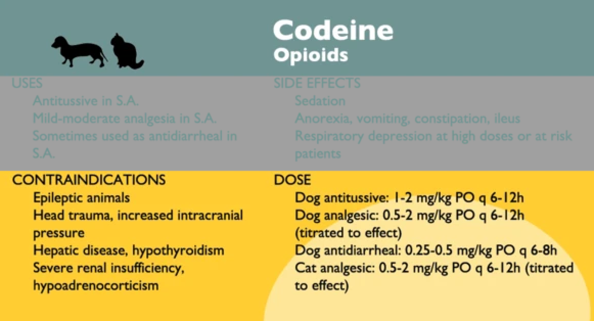 Pull & Know Anesthesia Cards