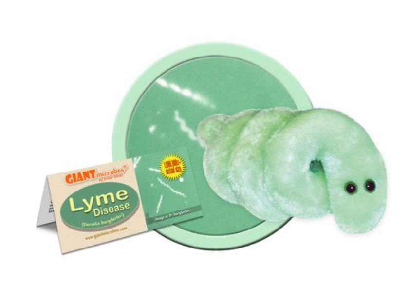 Giant Microbe: Lyme Disease (Borrelia Burgdorferi)