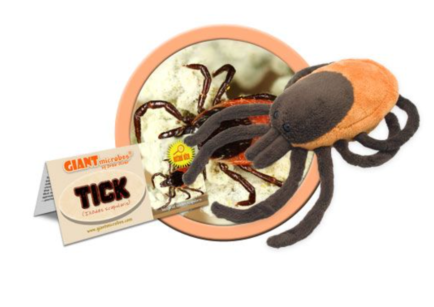 Giant Microbe: Tick (Ixodes Scapularis)