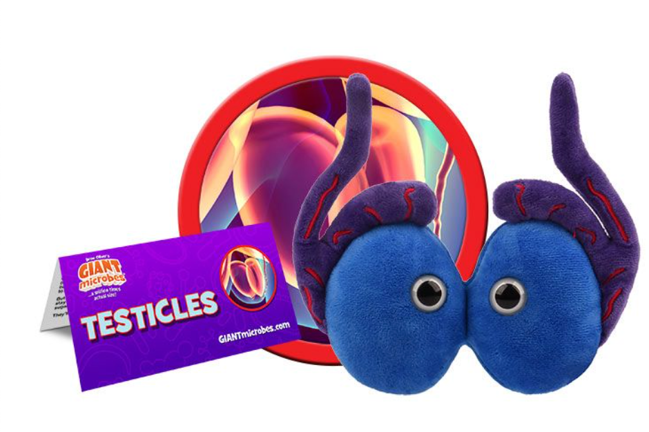 Giant Microbe: Testicles