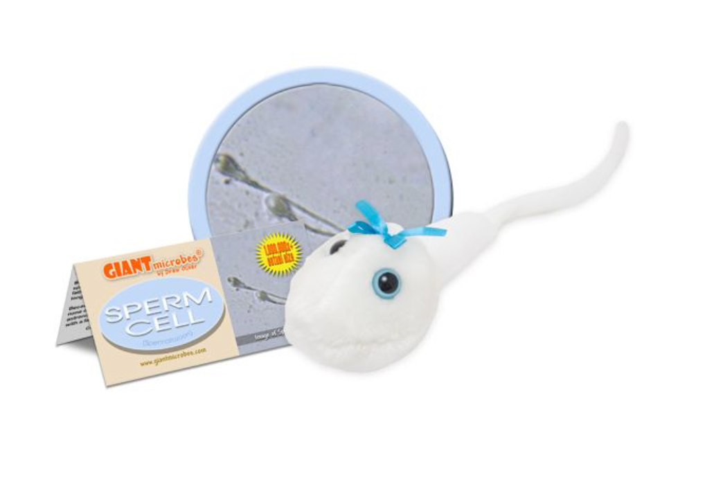 Giant Microbe: Sperm Cell (Spermatozoon)