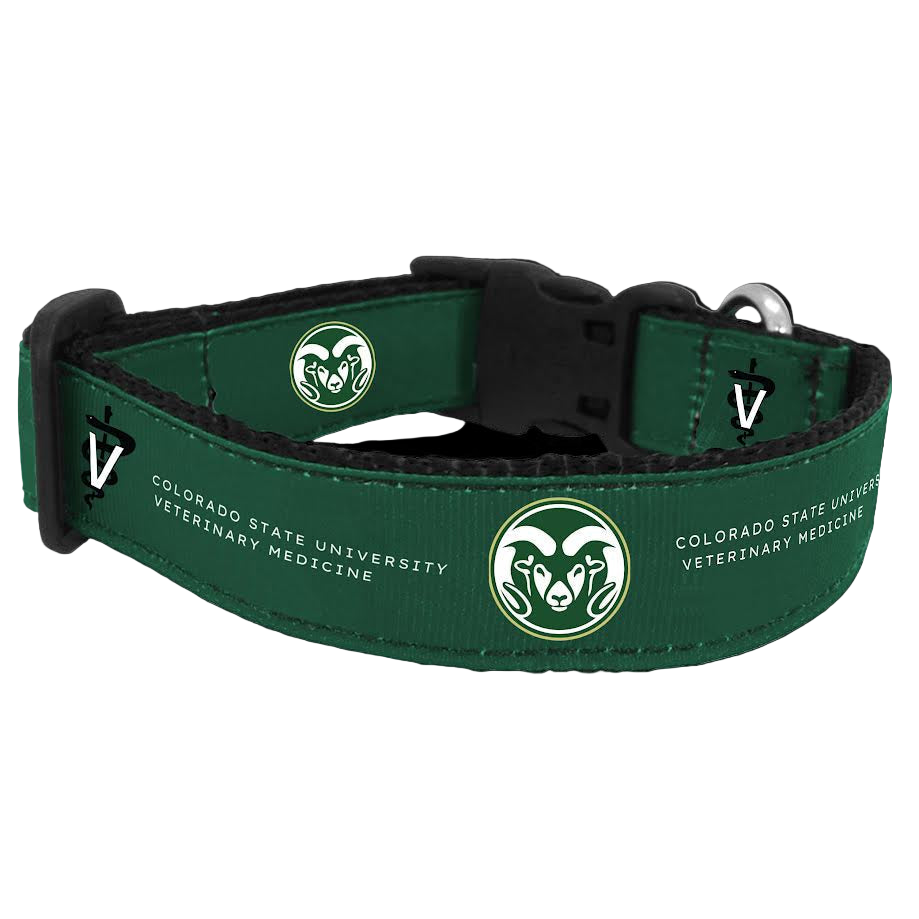 CSU Vet Med Collar