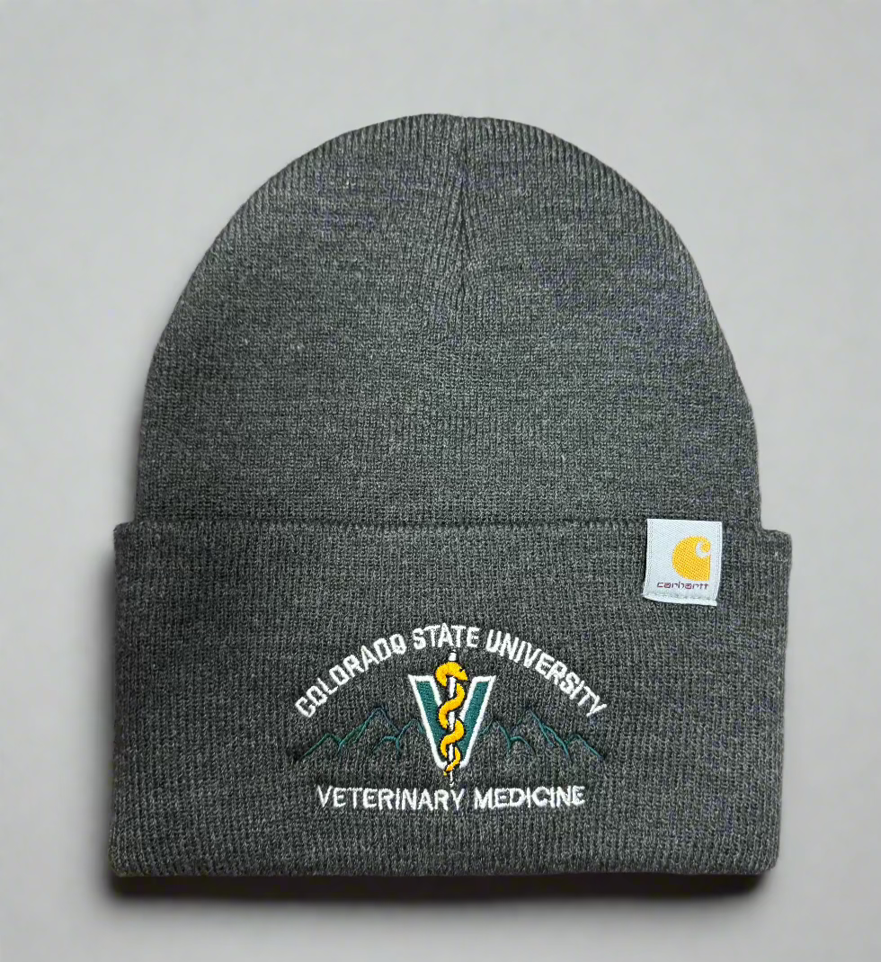 Carhartt Mountain Beanie