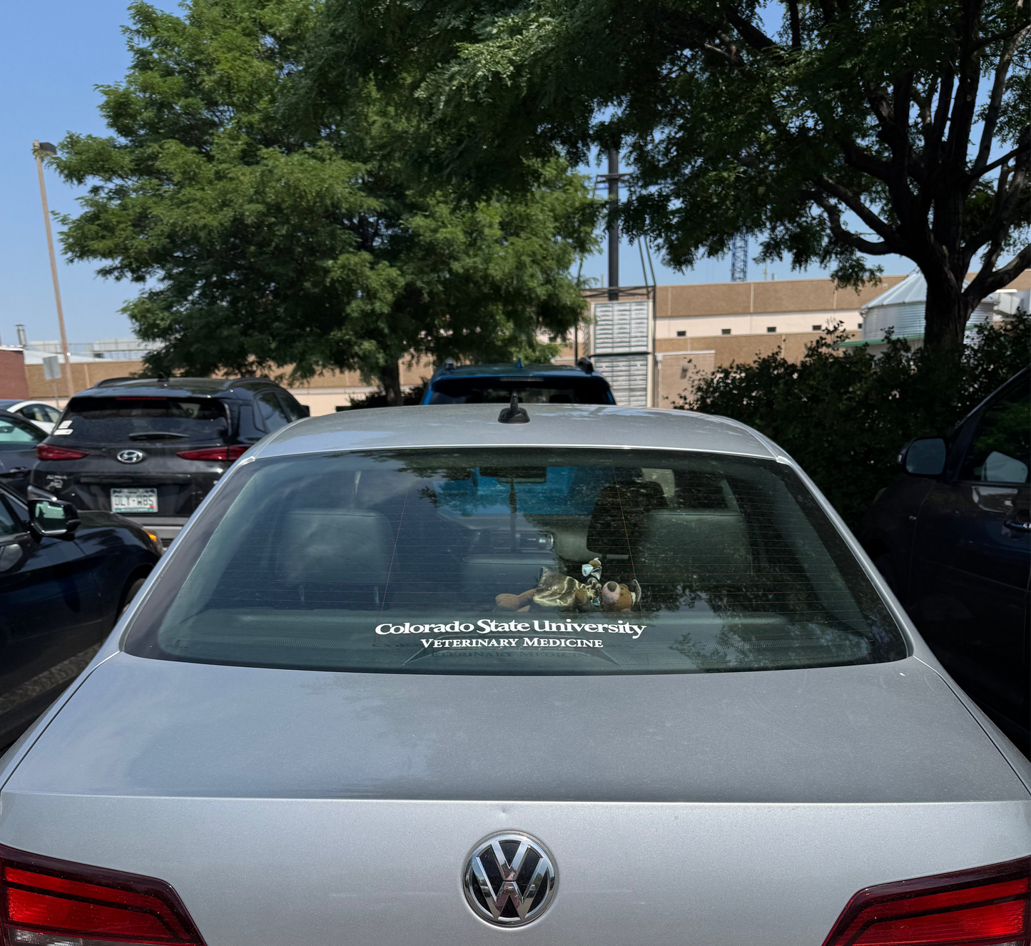 Colorado State University Veterinary Medicine Decal - Simple