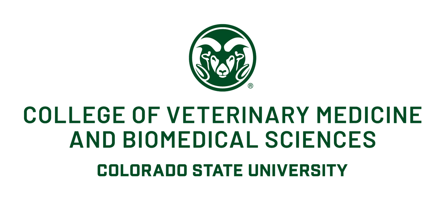 Sport-Tek Polo - CVMBS Logo