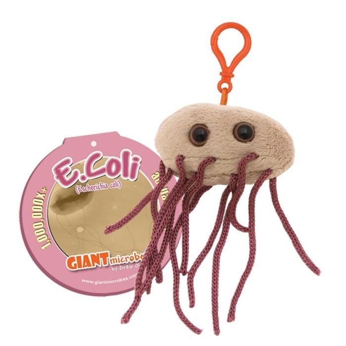 Giant Microbes: E. Coli Keychain