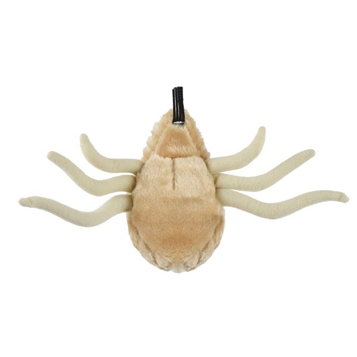 Giant Microbe: Flea  (Ctenocephalides Felis)