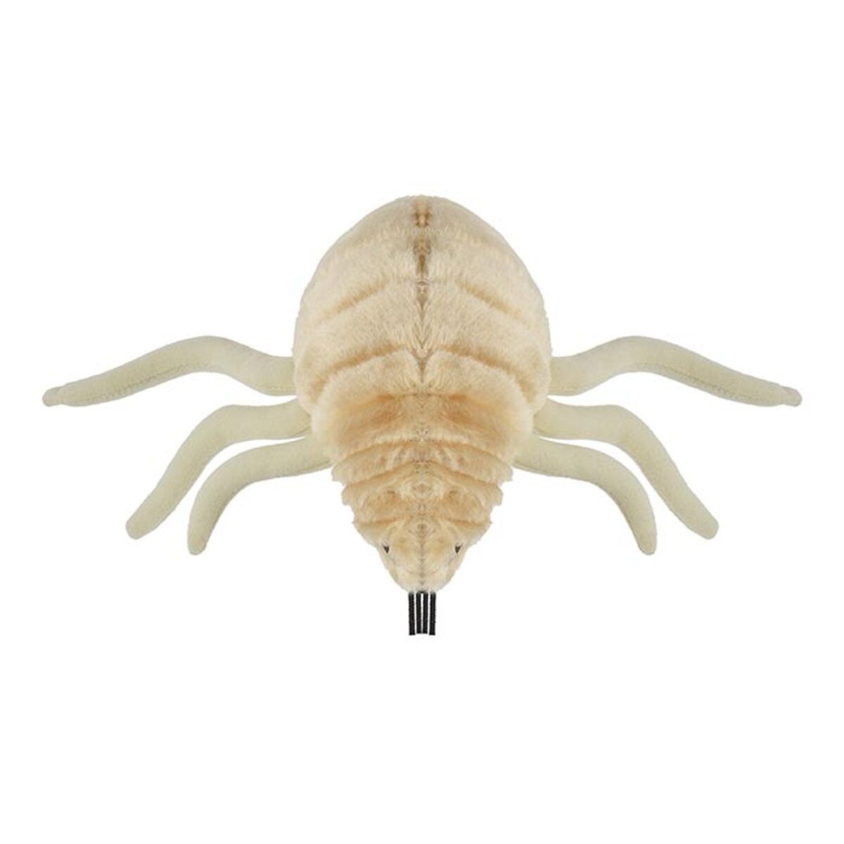 Giant Microbe: Flea  (Ctenocephalides Felis)