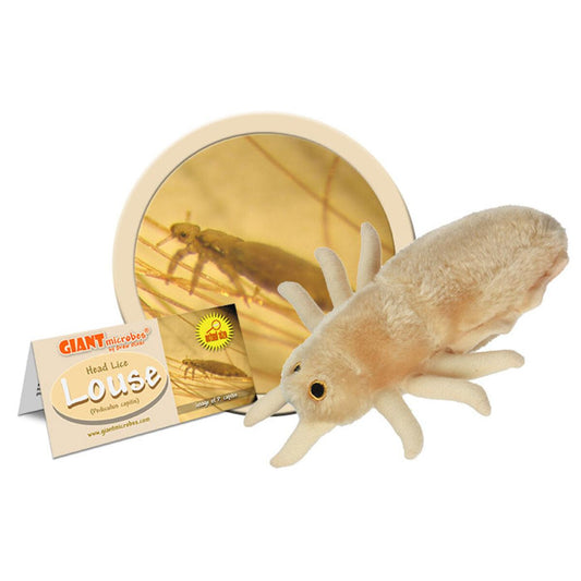 Giant Microbe: Louse