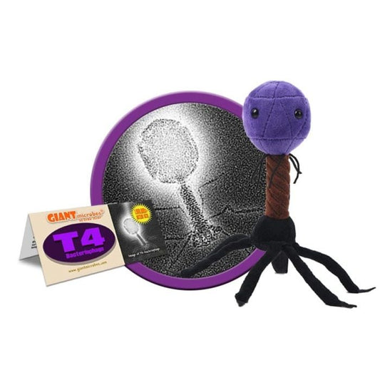 Giant Microbe: T4 - Bacteriophage