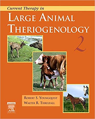 Large Animal Theriogenology