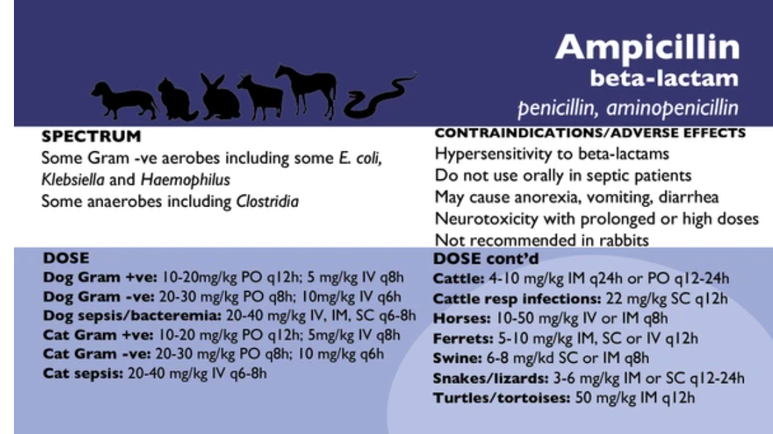 Pull & Know Antimicrobials