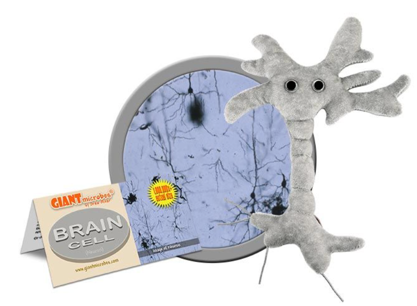 Giant Microbe: Brain Cell (Neuron)