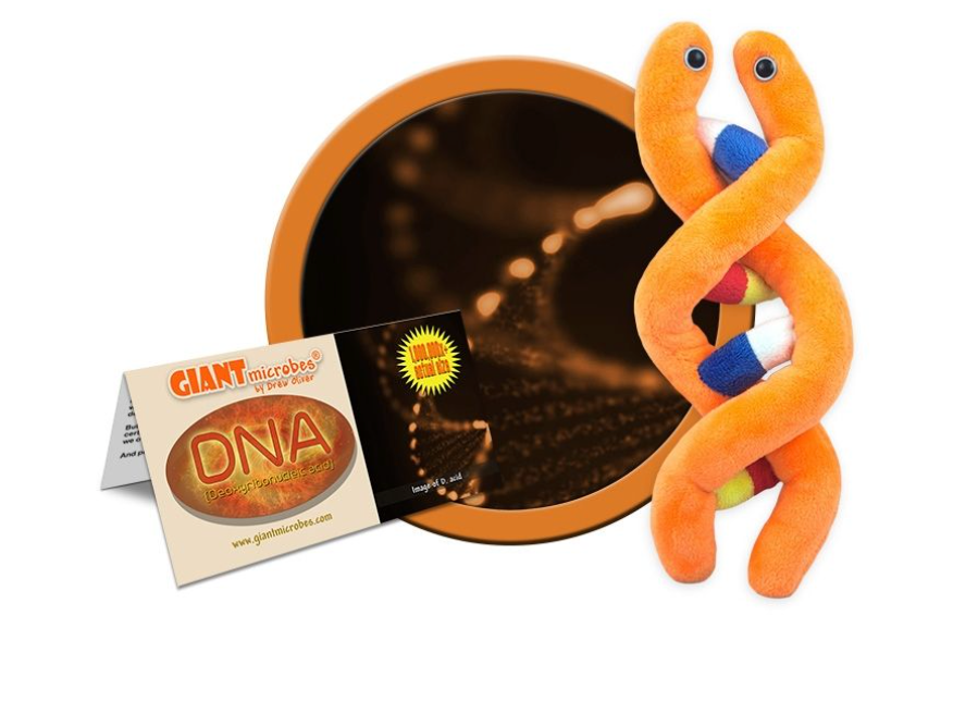 Giant Microbe: DNA (Deoxyribonucleic Acid)