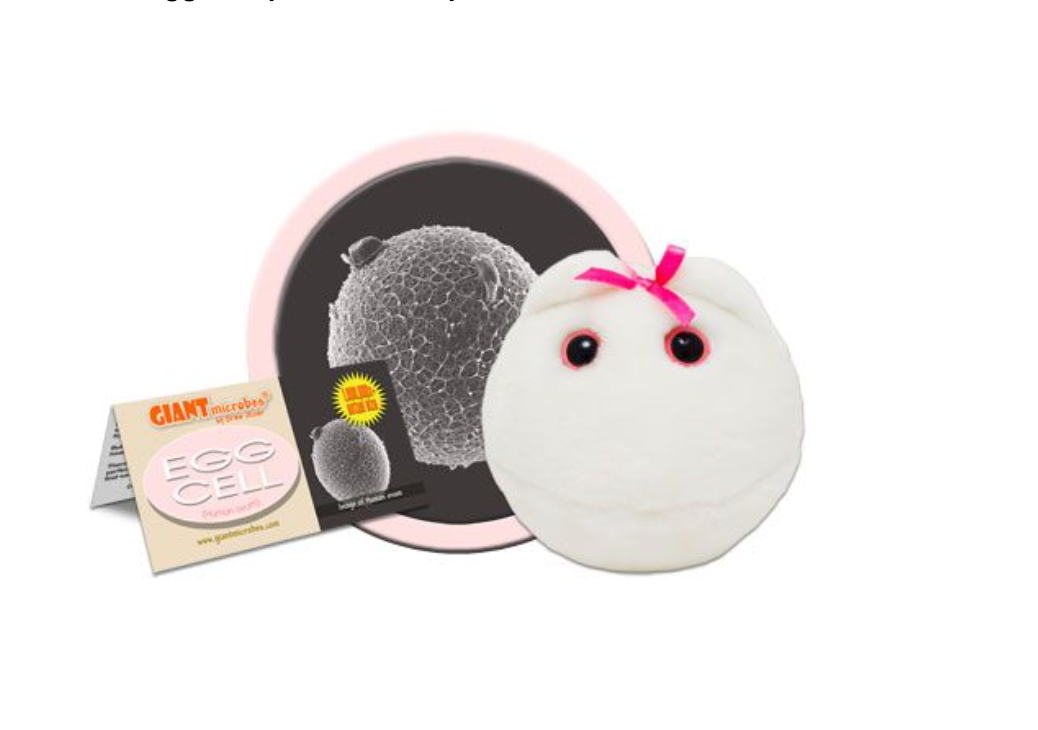 Giant Microbe: Egg Cell